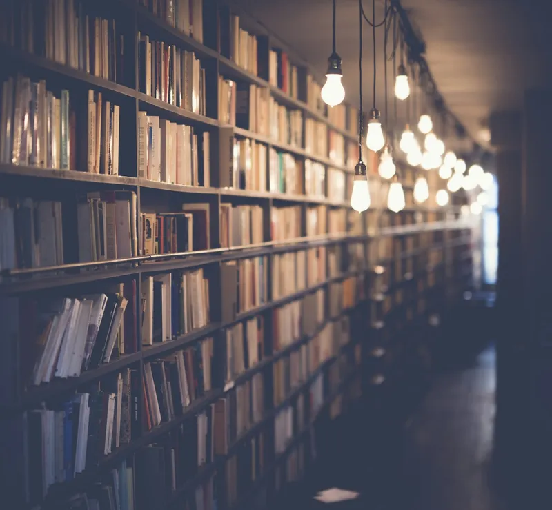 IB study guides for grade 7